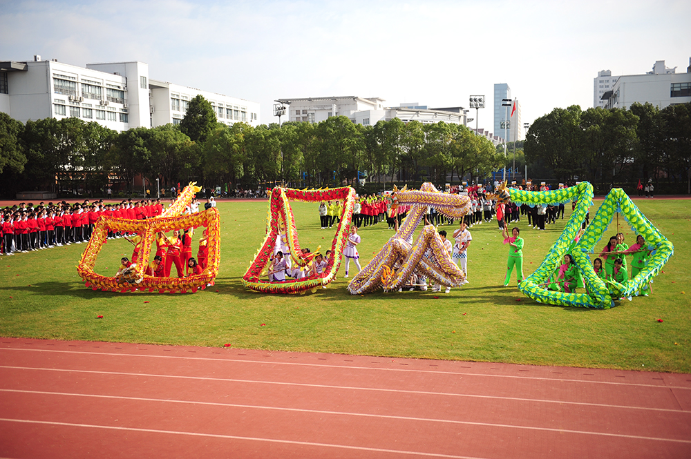 舞龙表演 舞龙表演