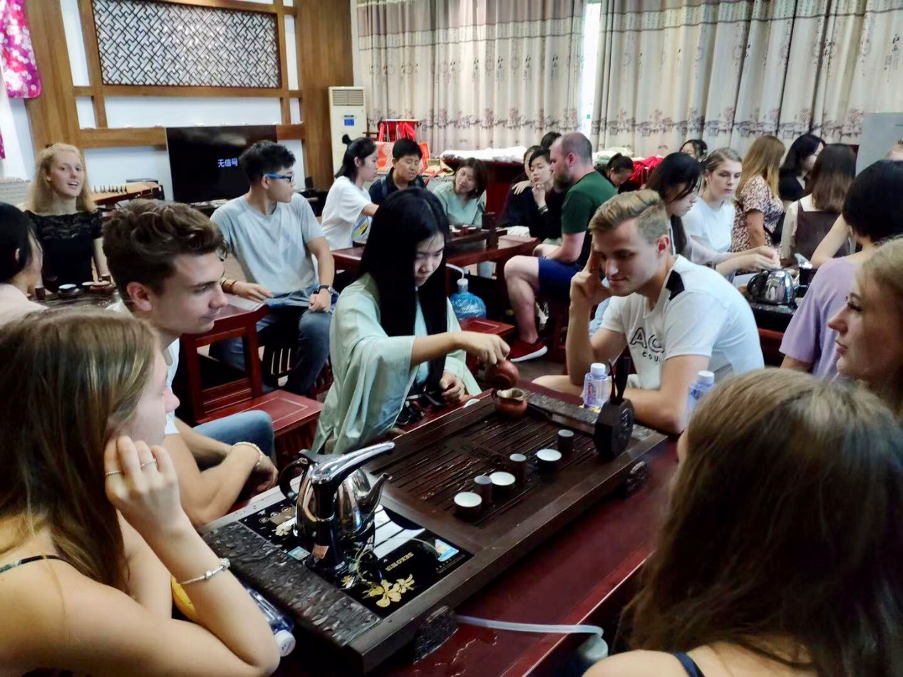 茶艺表演和茶文化介绍