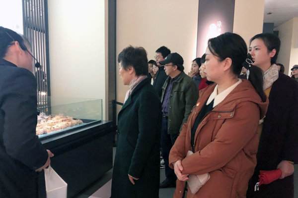 驻足观看奉贤海塘文化 驻足观看奉贤海塘文化