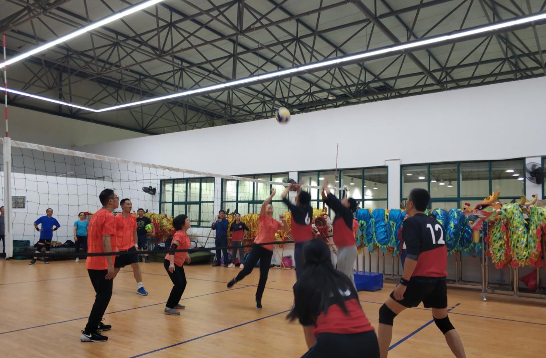 排球俱乐部 排球俱乐部