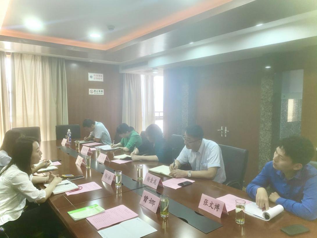 双方讨论交流 双方讨论交流