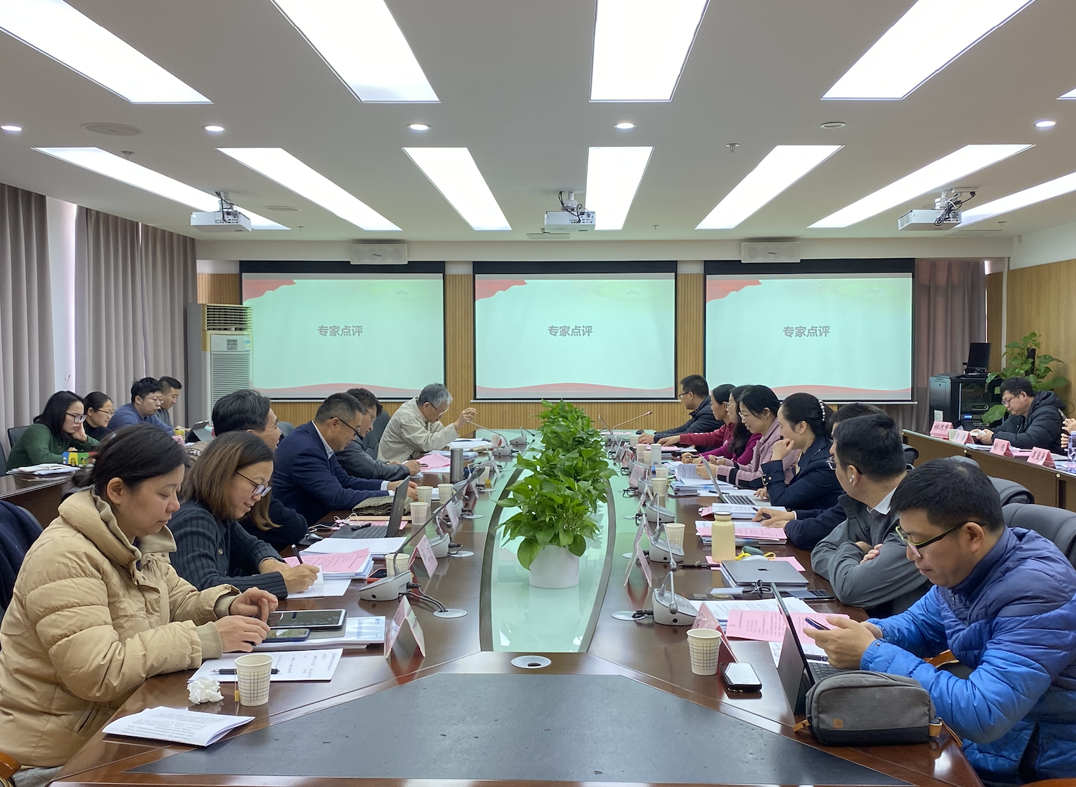 专家点评 专家点评