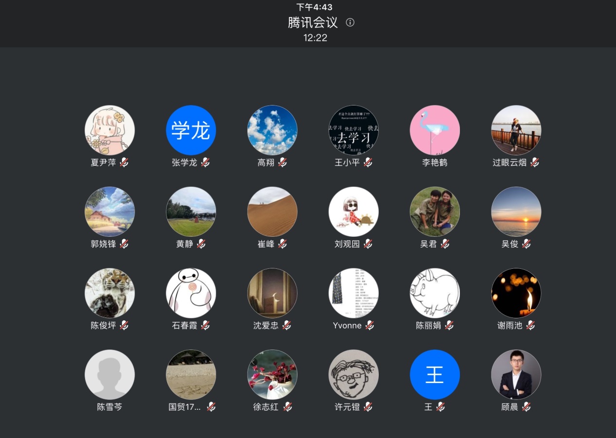 图为线上会议连线情况