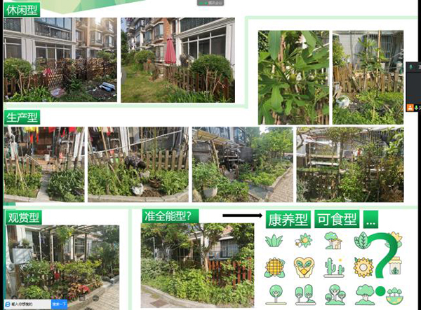 图2 教师“疫情下身边的社区”绿地分享