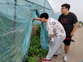 到田间实地考察果蔬生产情况