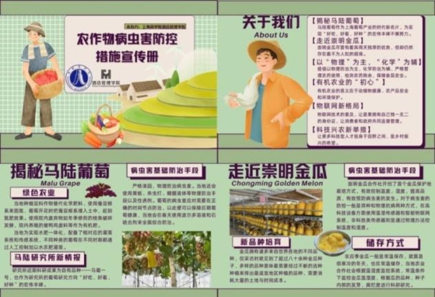 团队制作的《上海特色农作物病虫害防控措施宣传册》