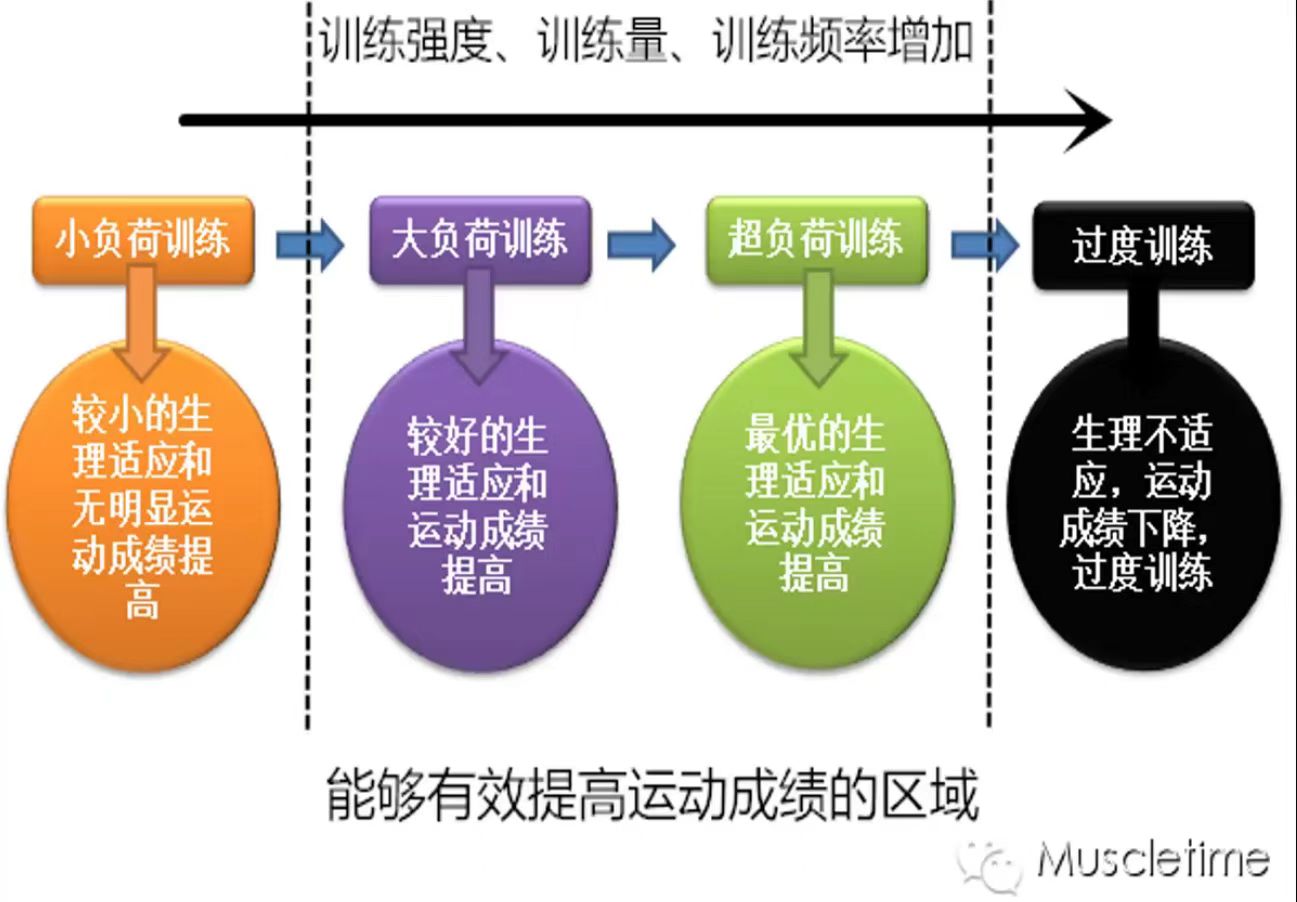讲座内容2 讲座内容2