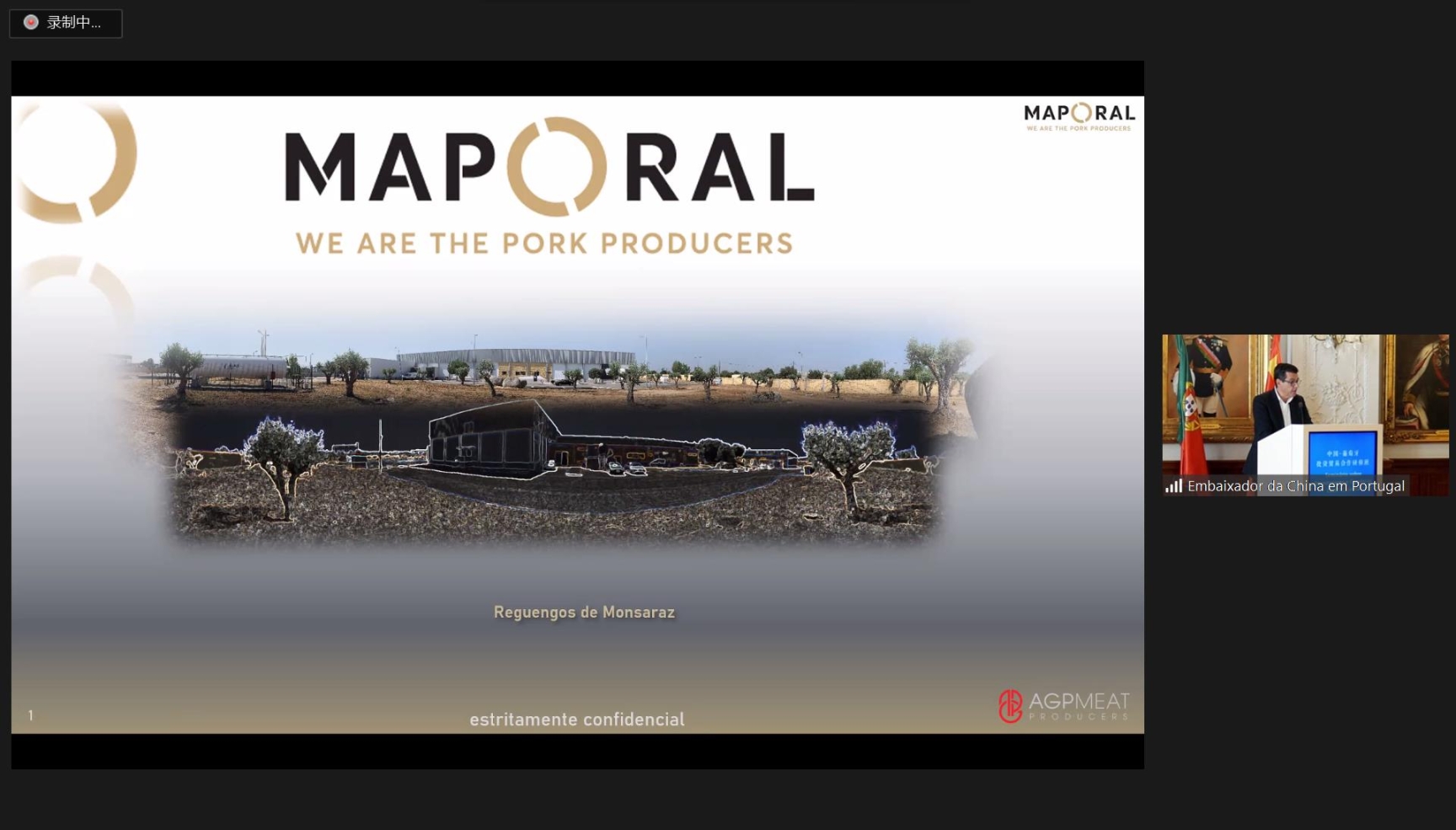 努诺·科雷亚发言