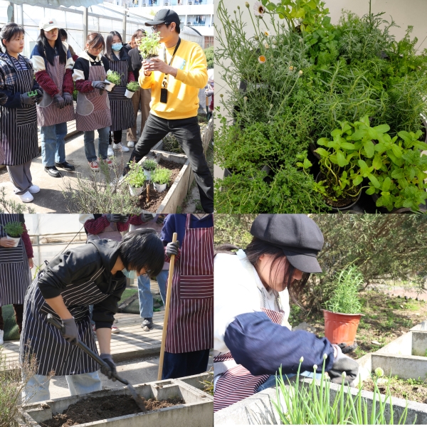 图为芳香植物疗愈活动花絮 图为芳香植物疗愈活动花絮