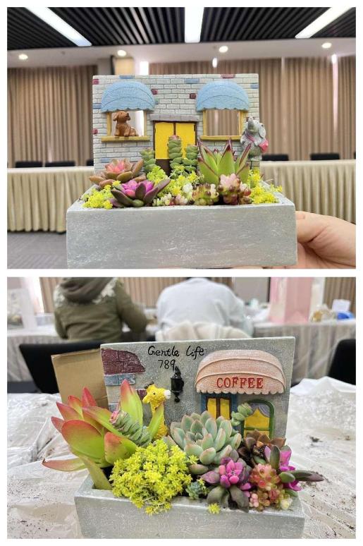多肉制作作品展示 多肉制作作品展示