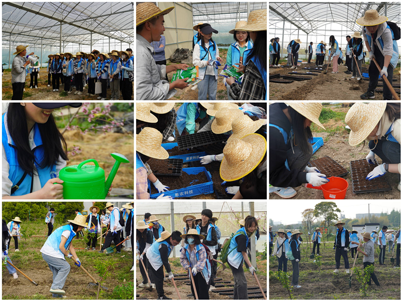 农耕劳作体验 农耕劳作体验