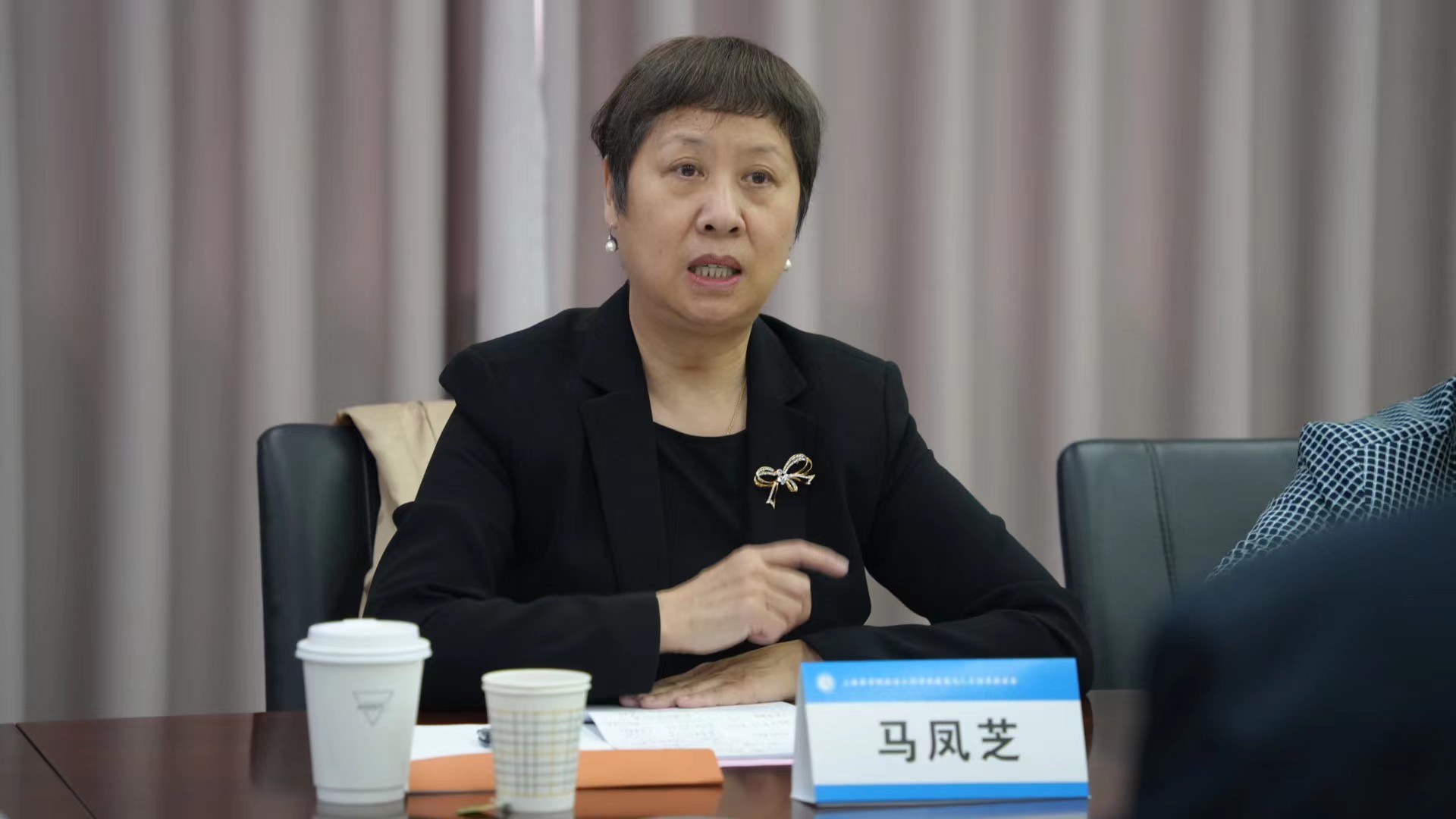 马凤芝教授发言