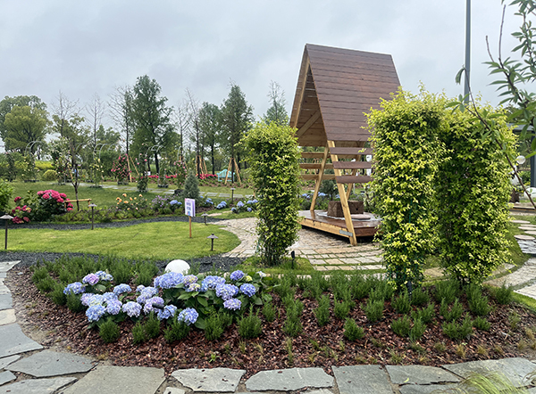 图为我校学生营造的花园