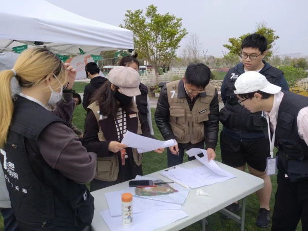 现场施工任务安排