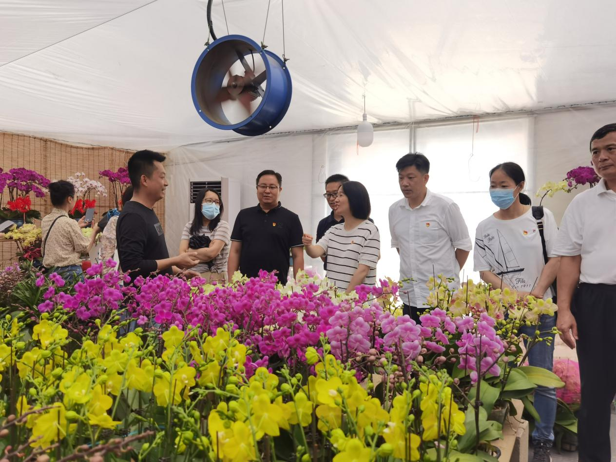 实践走访金汇花卉苗木产业园基地 实践走访金汇花卉苗木产业园基地