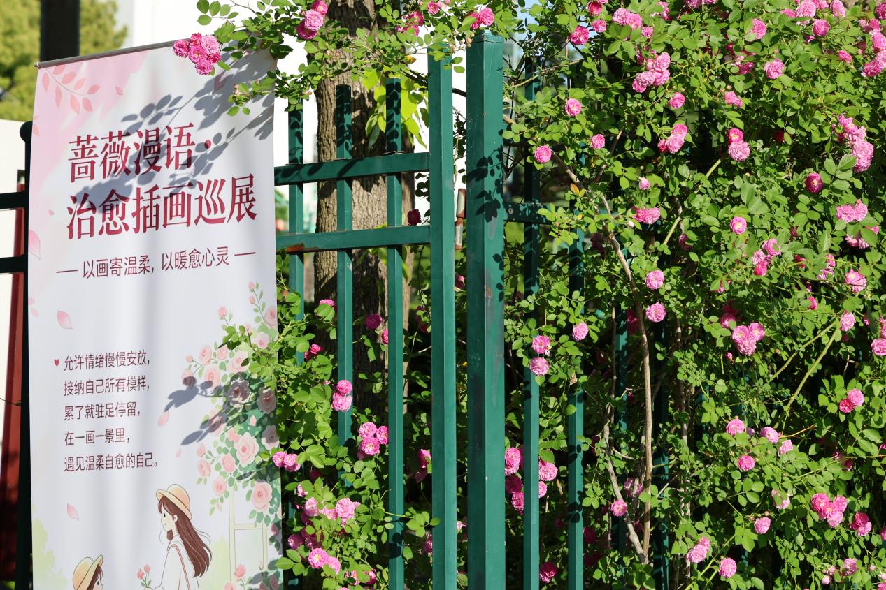 图1为活动现场
